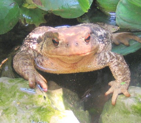 she seems to smile at me